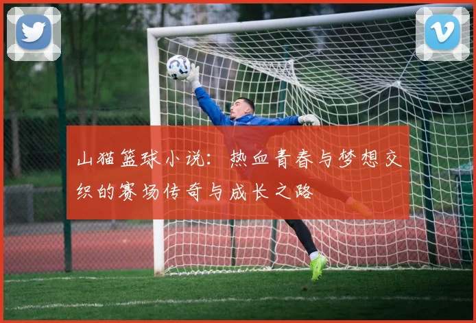 山猫篮球小说：热血青春与梦想交织的赛场传奇与成长之路