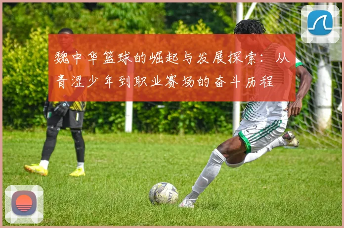 魏中华篮球的崛起与发展探索：从青涩少年到职业赛场的奋斗历程
