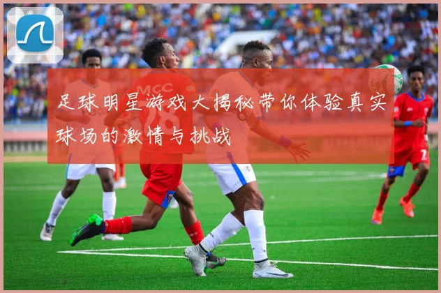 足球明星游戏大揭秘带你体验真实球场的激情与挑战