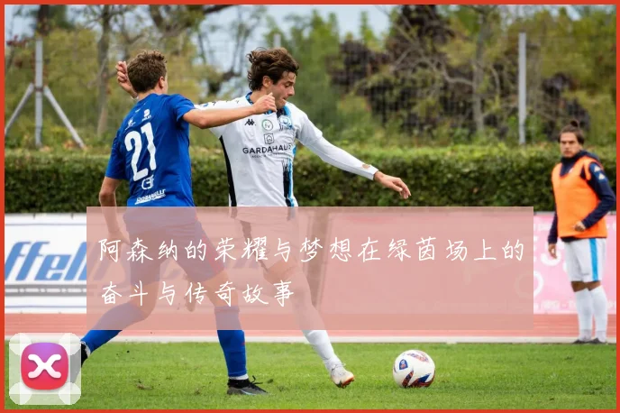 阿森纳的荣耀与梦想在绿茵场上的奋斗与传奇故事