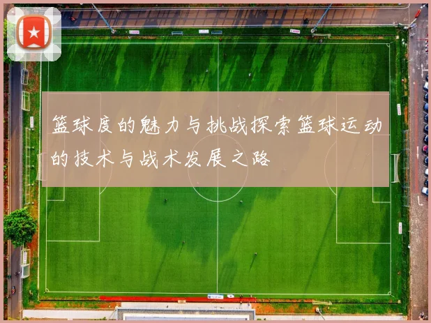 篮球度的魅力与挑战探索篮球运动的技术与战术发展之路