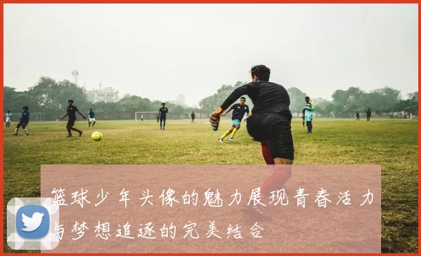 篮球少年头像的魅力展现青春活力与梦想追逐的完美结合
