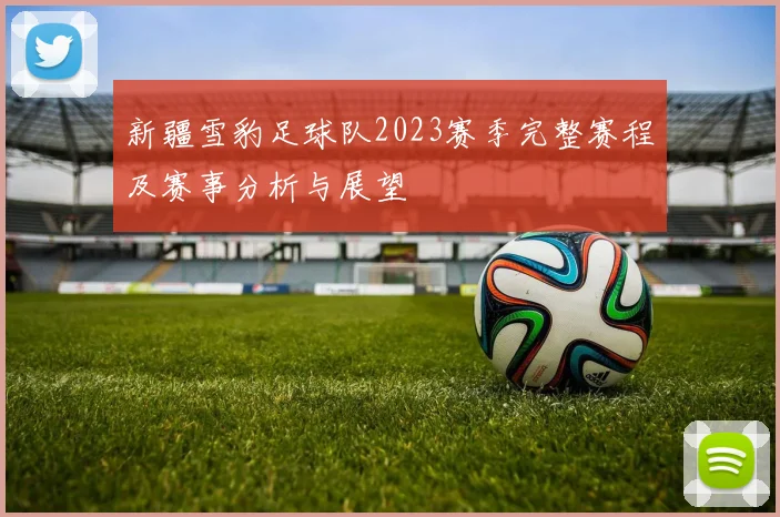 新疆雪豹足球队2023赛季完整赛程及赛事分析与展望